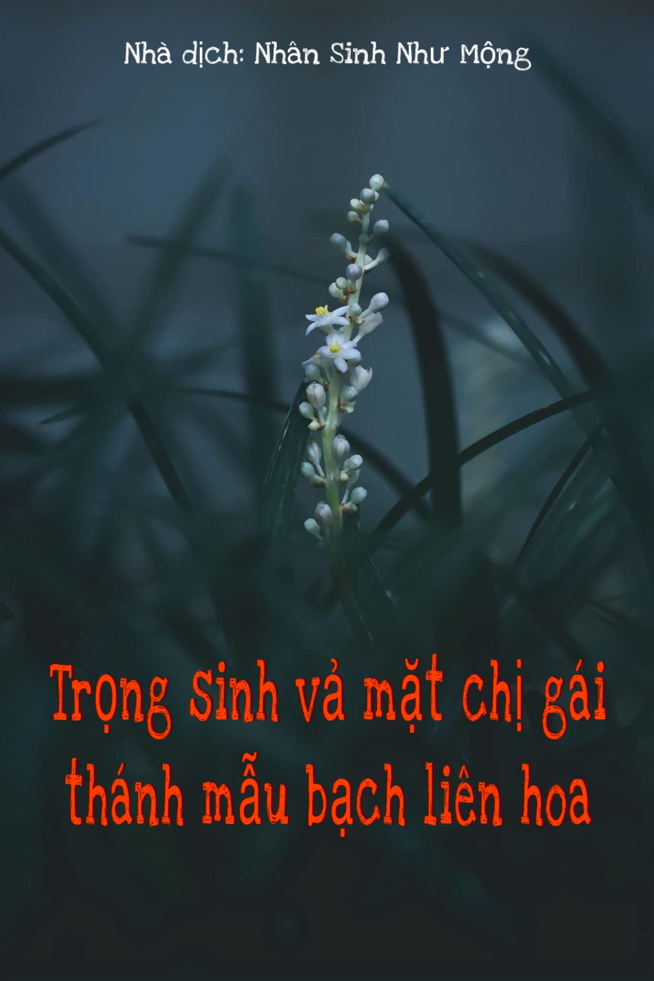 Trọng sinh vả mặt chị gái thánh mẫu bạch liên hoa