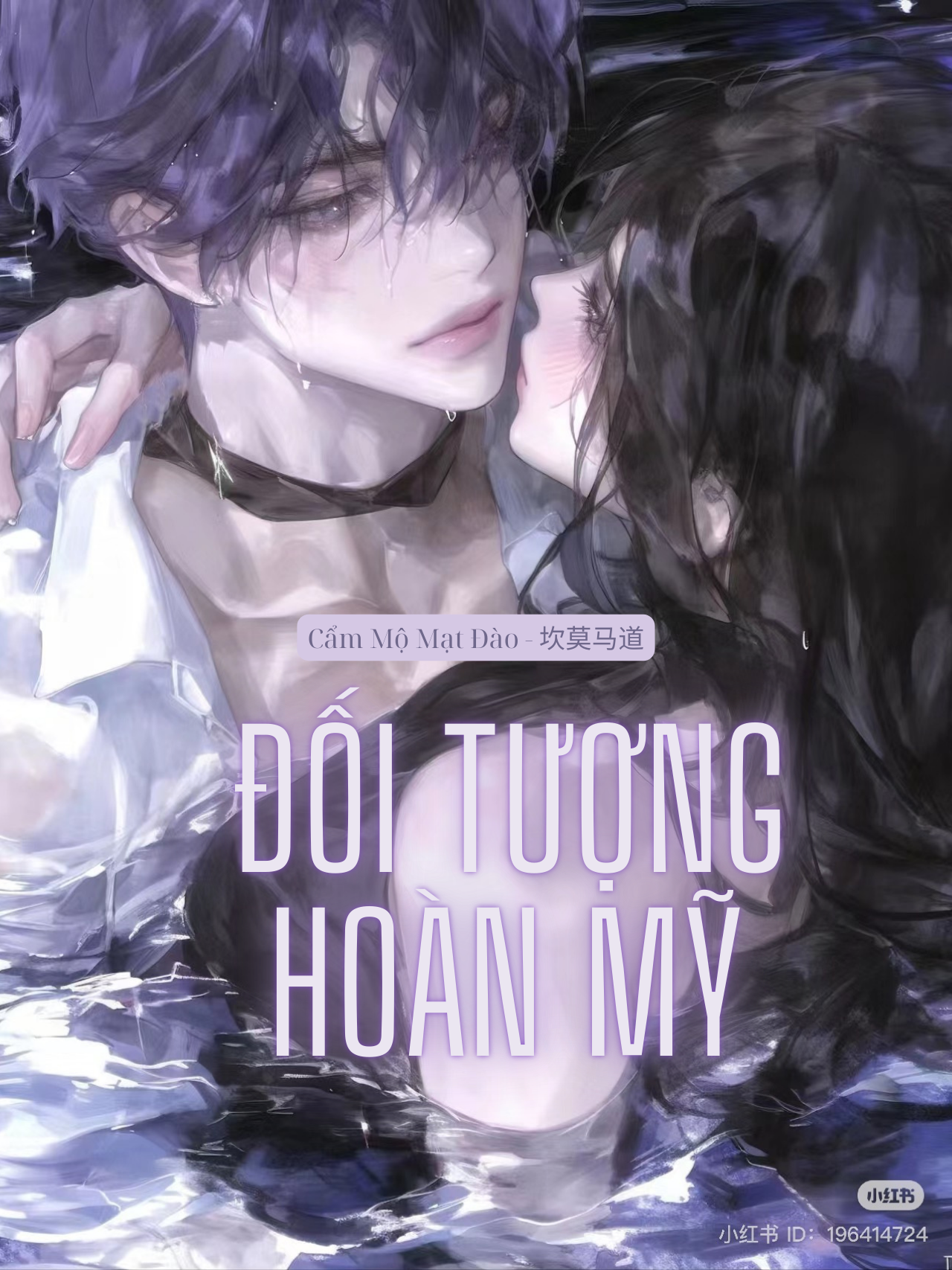 Đối Tượng Hoàn Mỹ