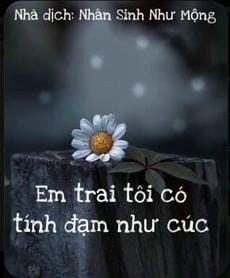 Em trai tôi có tính đạm như cúc